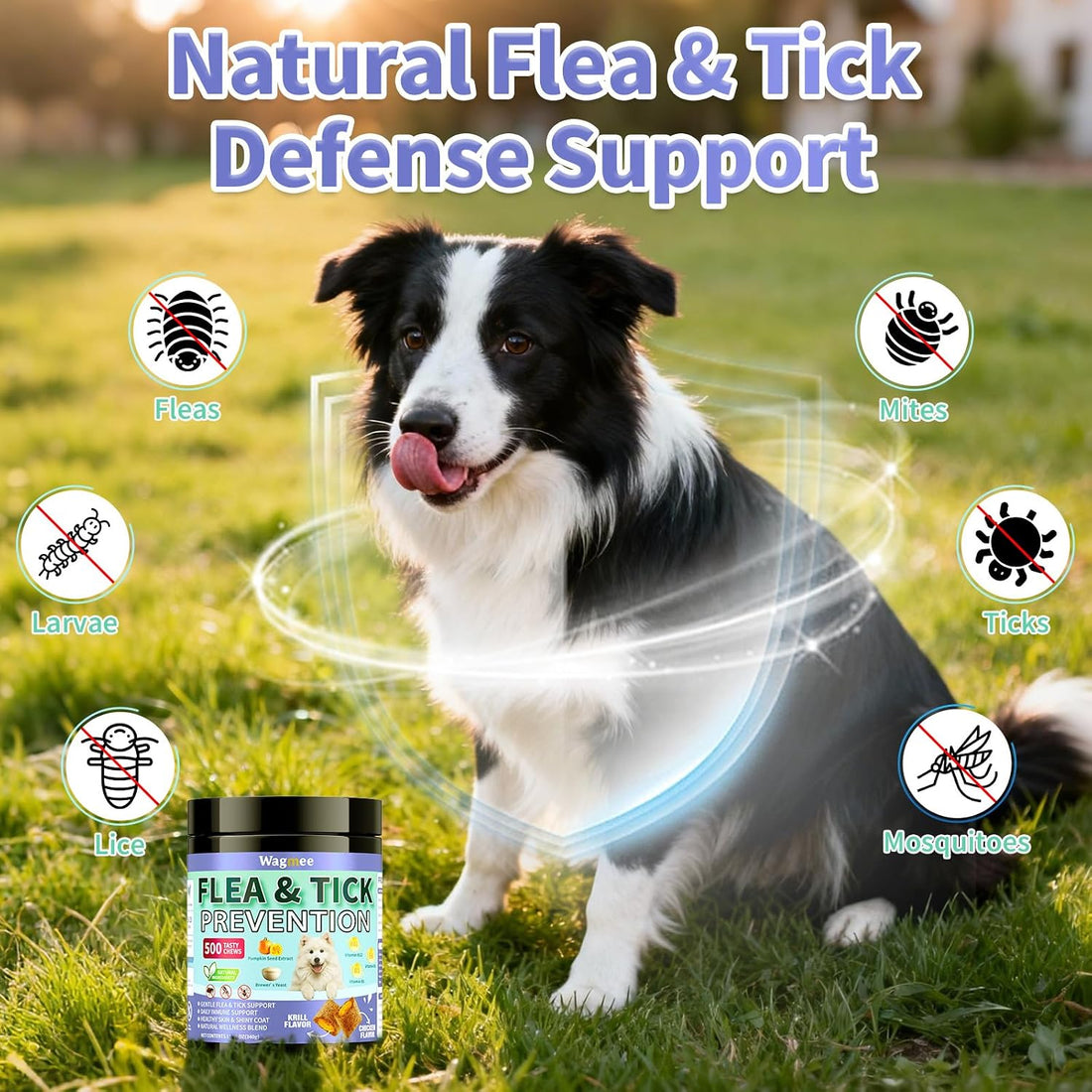 Flea and Tick Prevention for Dogs, 500 Crunchy Tasty Chews