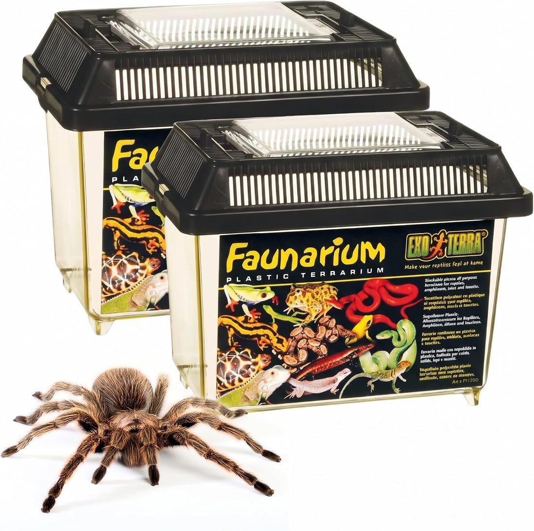 Exo Terra Faunarium Small Plastic Reptile Terrarium & Transport