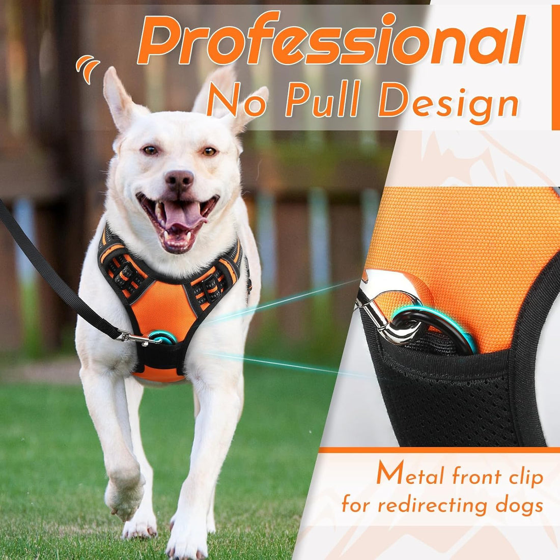 Eagloo Dog Harness for Medium Sized Dogs