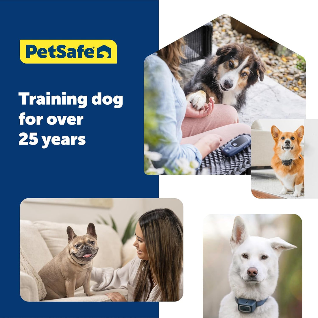 PetSafe Clik-R Dog Training Clicker