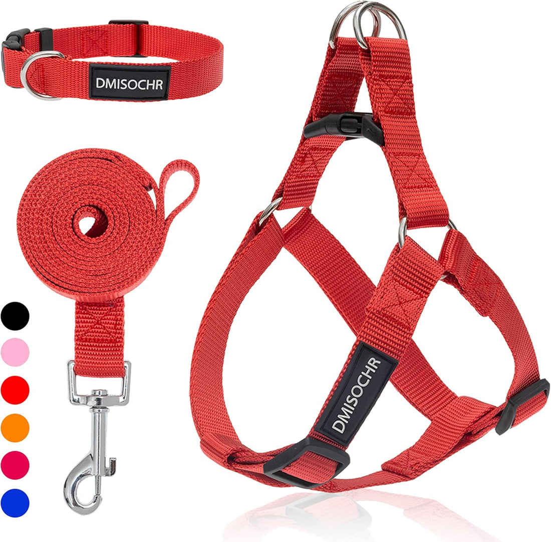 No Pull Dog Harness, Leash & Collar Set, Adjustable Step-in Vest