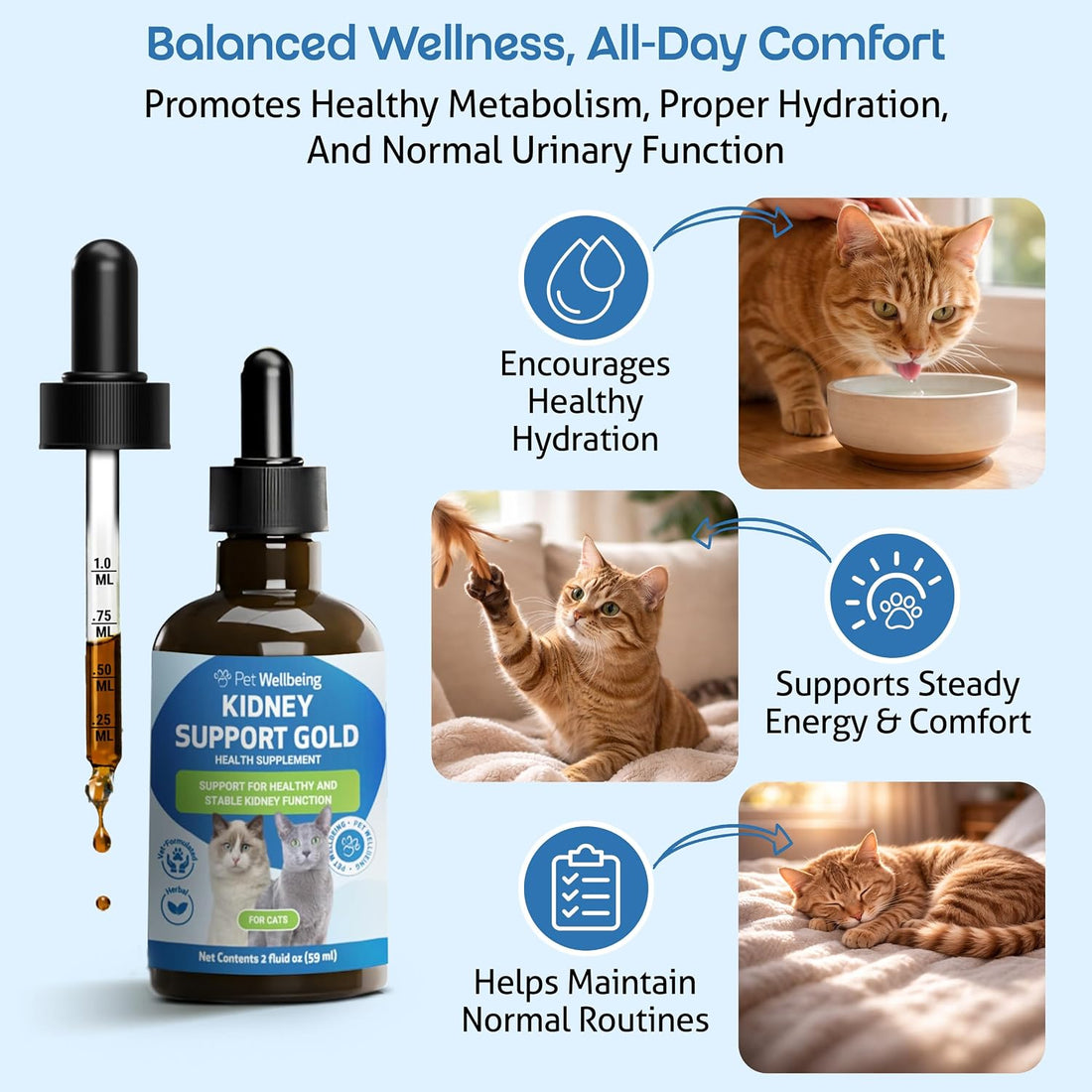 Pet Wellbeing Kidney Support Gold for Cats