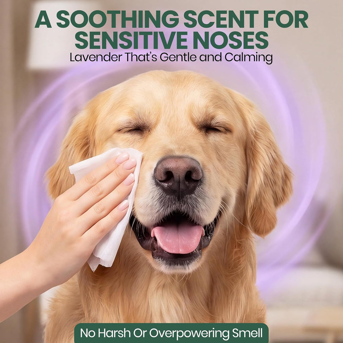 Bark & Clean Bamboo Dog Wipes for Cleaning & Deodorizing