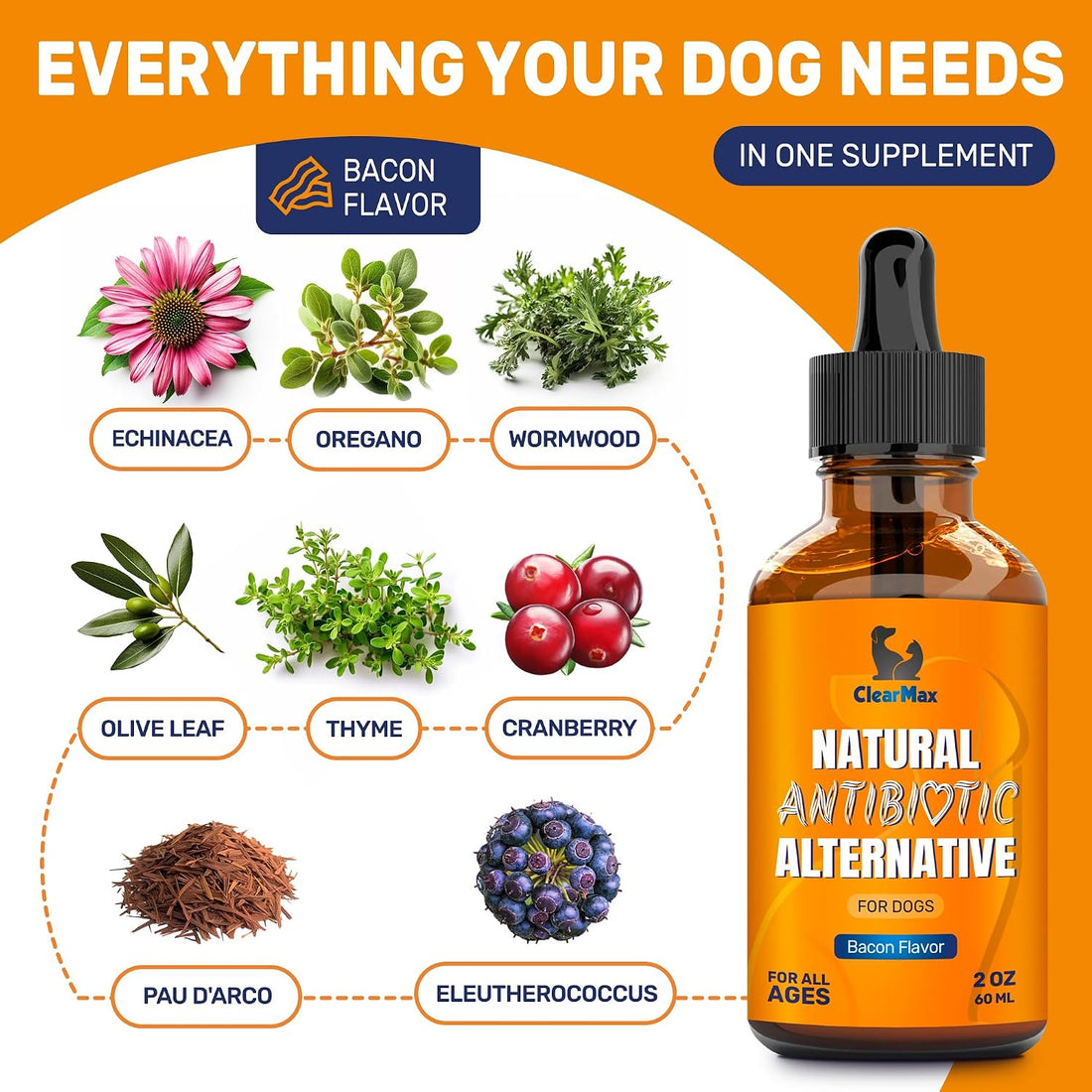 Dog Antibiotics for Infections, Allergies, Coughs