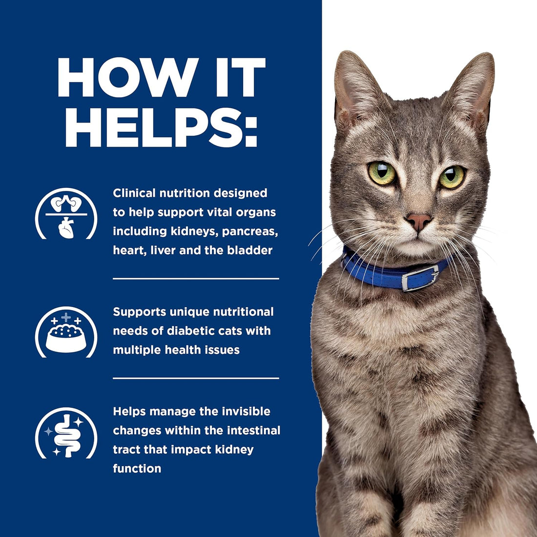 Hill's Prescription Diet Multi-Organ Complex Support Wet Cat Food