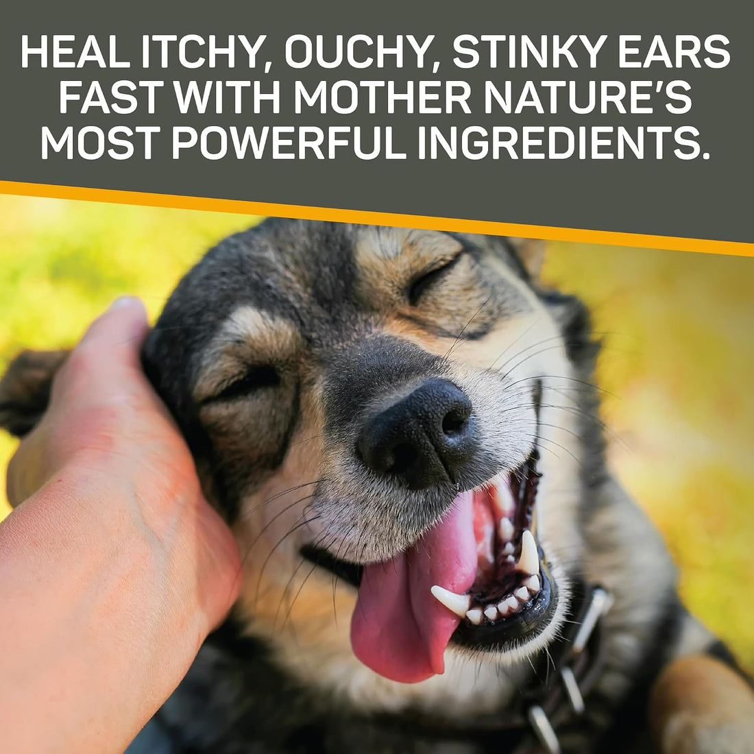 Absorbine Silver Honey Rapid Ear Care Vet Strength Concentrated Doses
