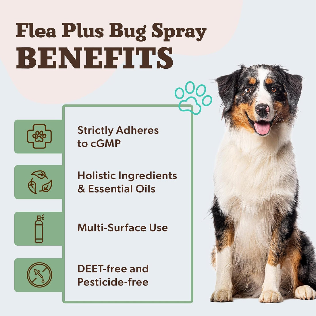 Natural Dog Company Flea Plus Bug Spray for Dogs, 8 fl oz
