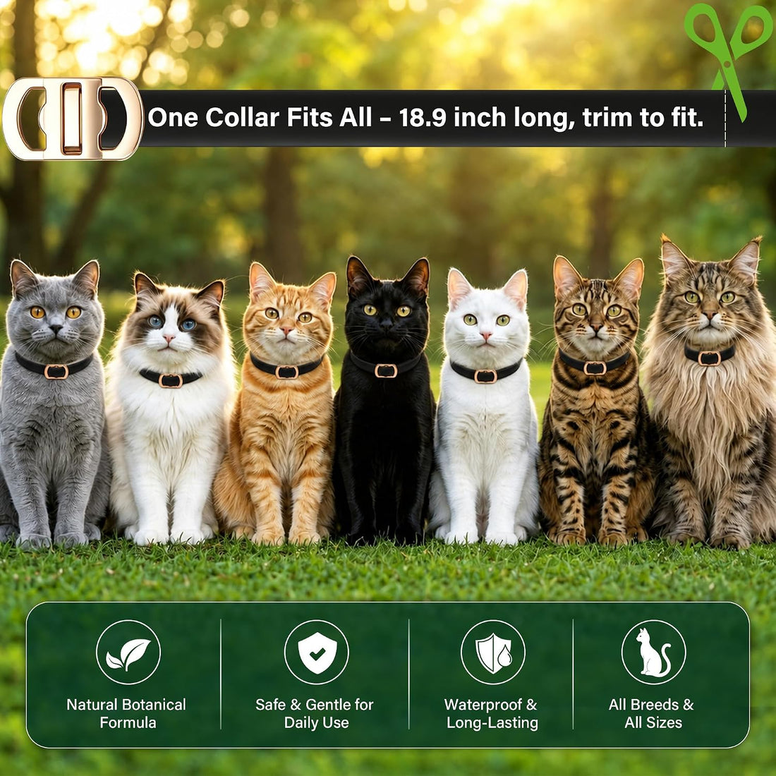 6 Packs Flea and Tick Collar for Cats
