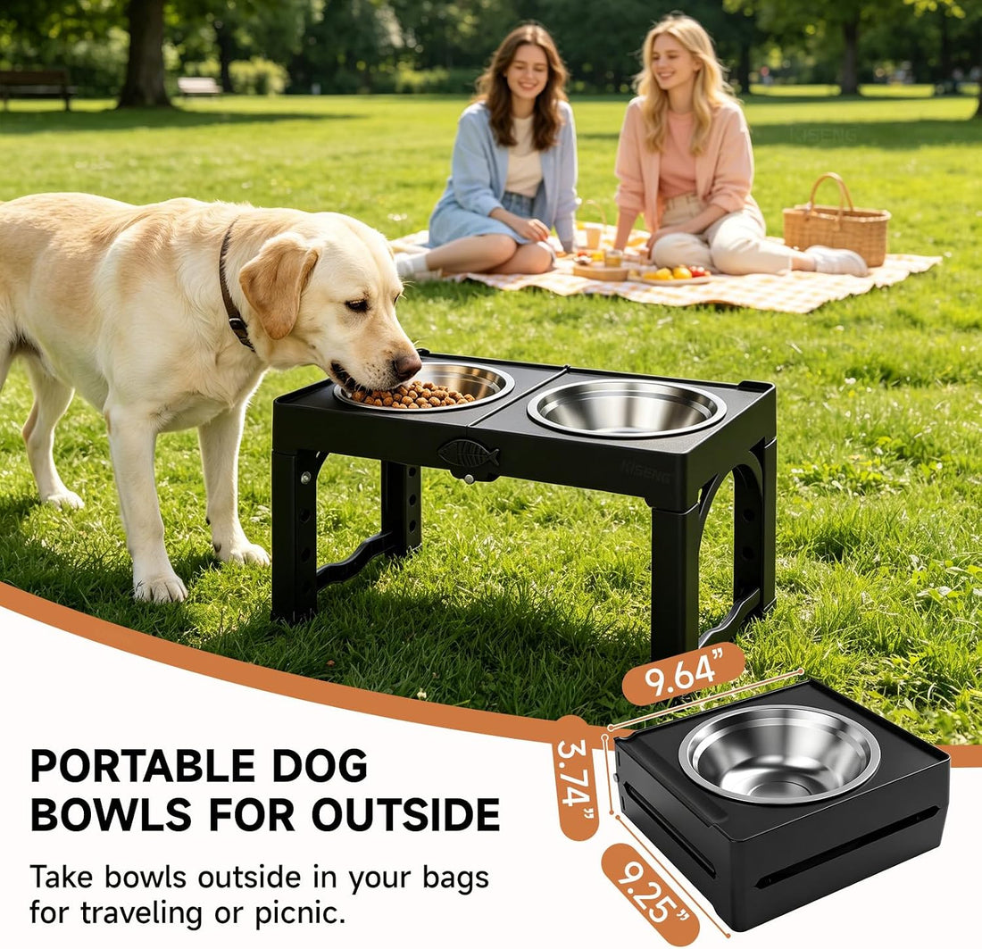 Black Elevated Dog Bowls Large Raised Dogs Bowl Stand Large/Medium