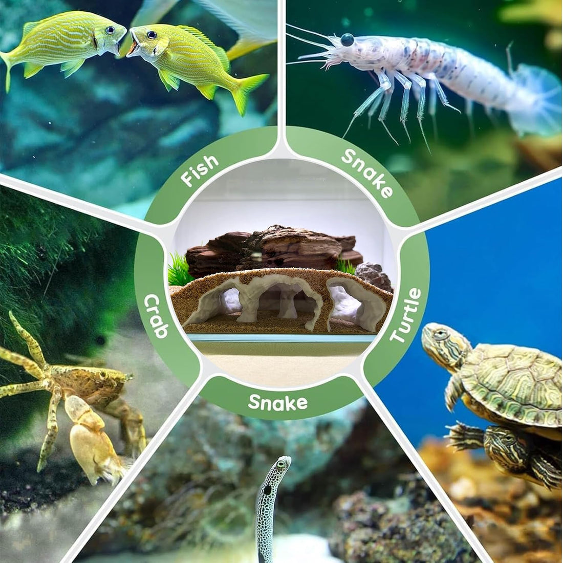LIYAOLI Aquarium Ornaments Cave Tunnel with Viewing Ports