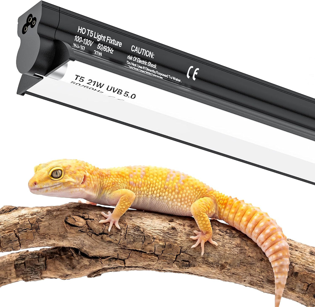 T5 UVB 10.0 Reptile Light Fixture Combo Kit