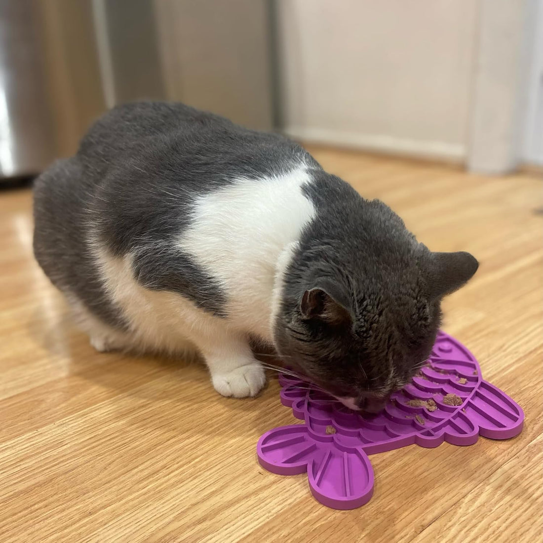 SPOT Soother Lick Mat-Licking Mat for Cats, Kittens
