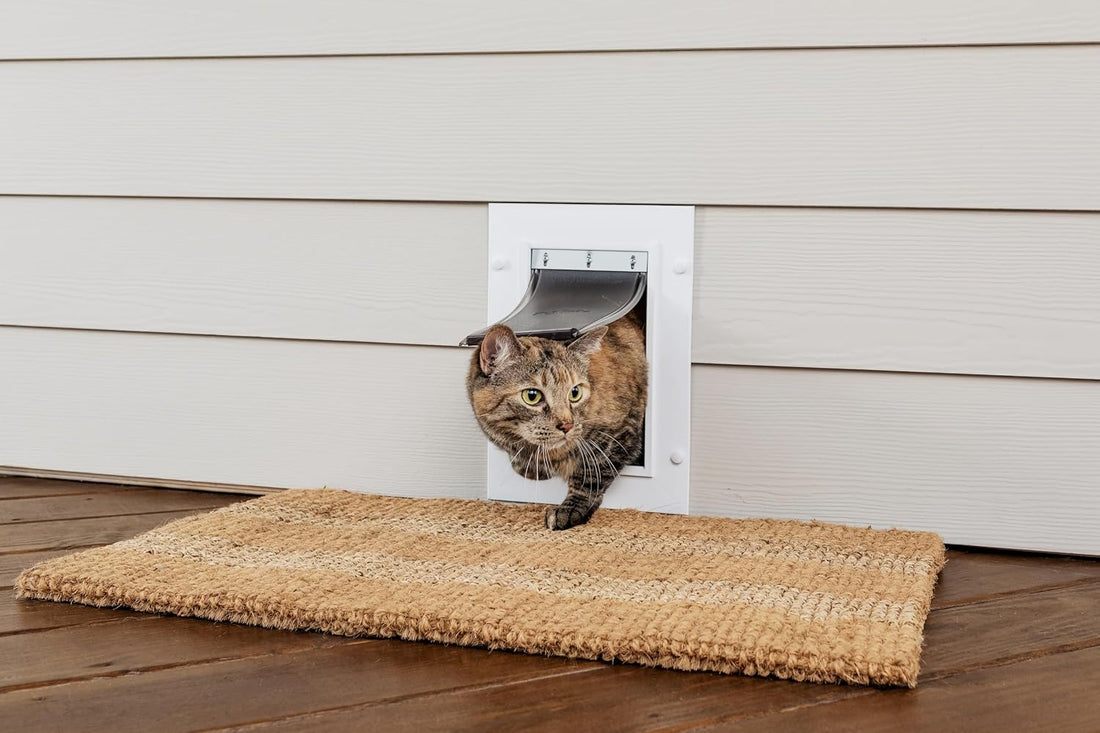 PetSafe Wall Entry Pet Door, Telescoping, Dogs up to 40 lb