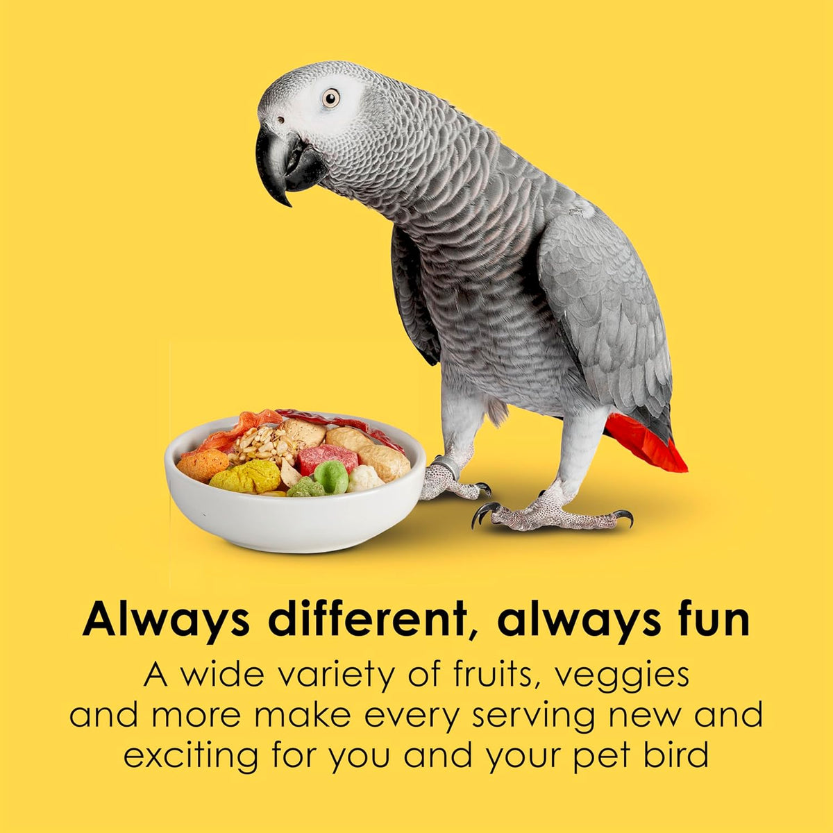 Kaytee Fiesta Parrot Food for Large Birds, 2.5 Pounds