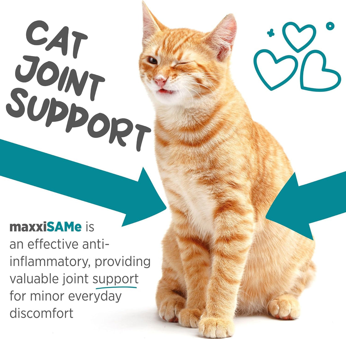 maxxipaws maxxiSAMe SAM-e for Cats