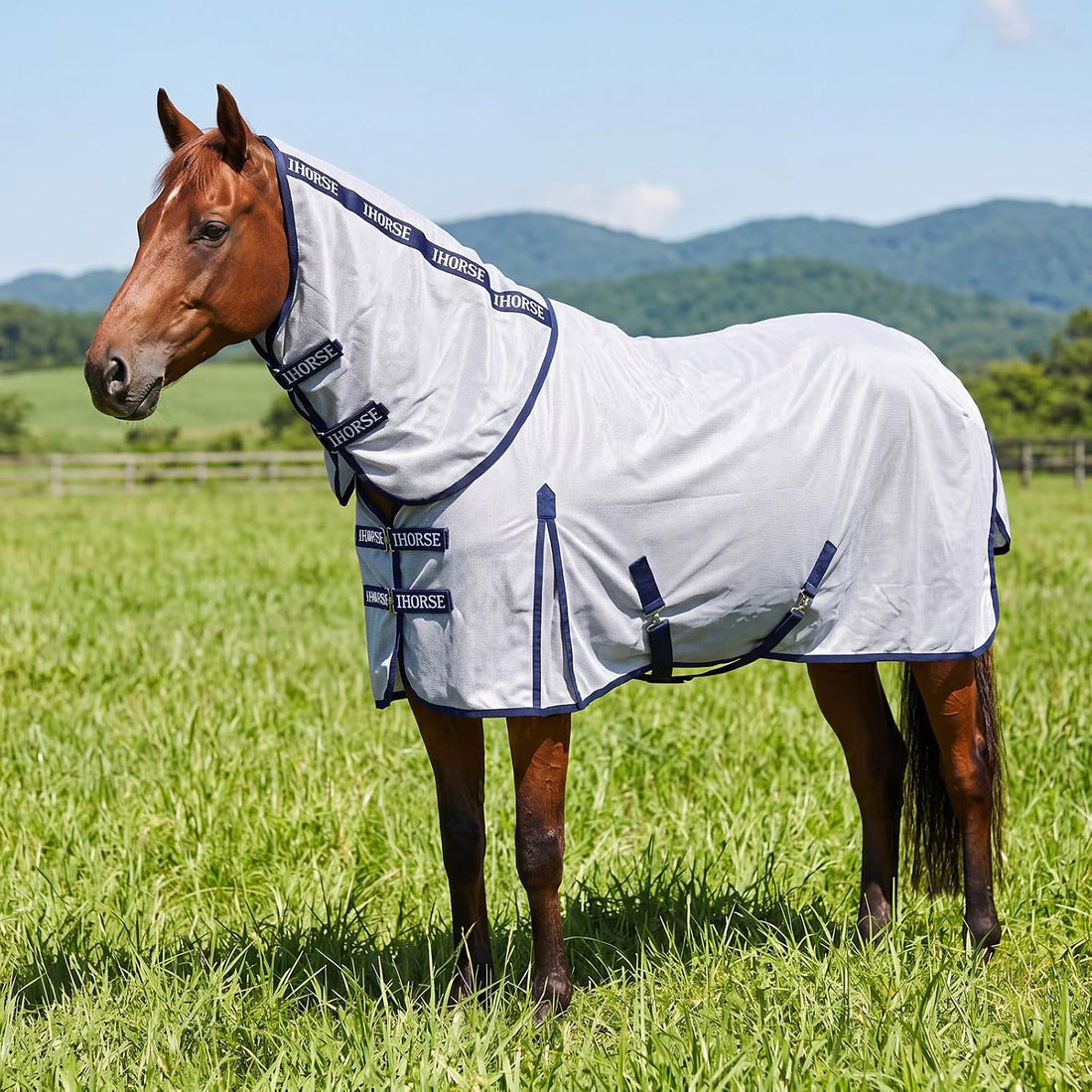 Breathable Mesh Horse Fly Sheet for Summer