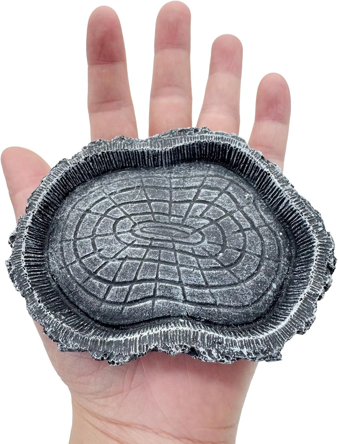2 Pack Shallow Reptile Food Bowls