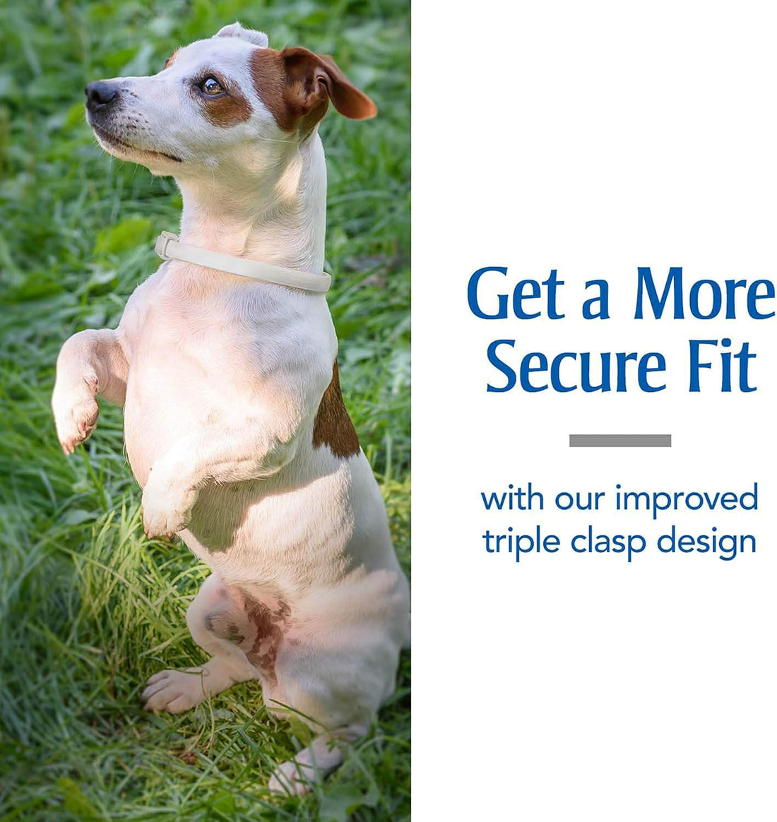 PetArmor Flea & Tick Collar Dogs, 12-Month Protection, 2-Pack
