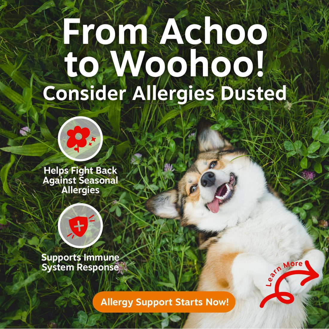 Zesty Paws Allergy Immune Bites - Dog Allergy Chews