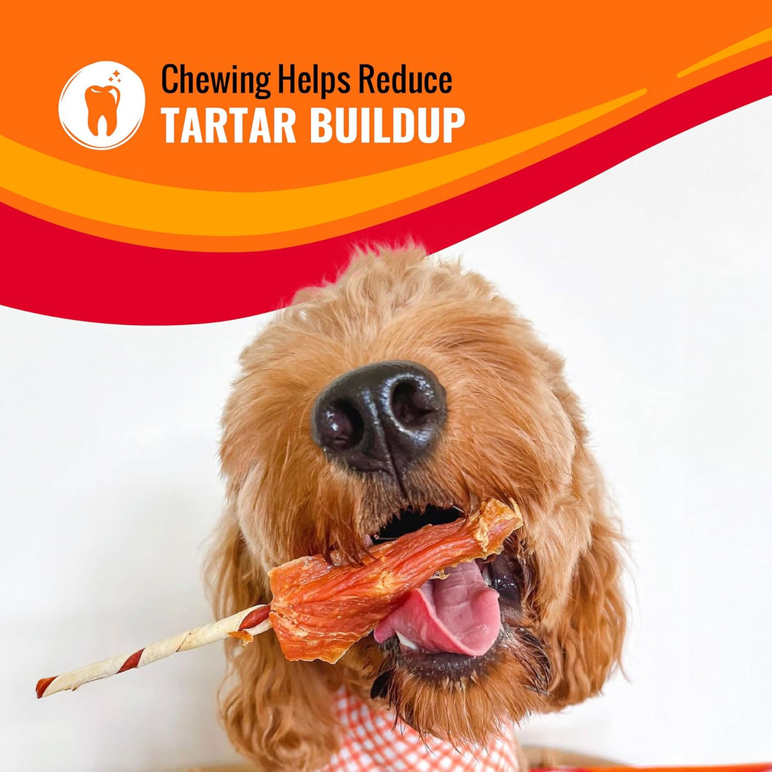 Good 'n' Fun Wings Long-Lasting Dog Treat, With Real Proteins