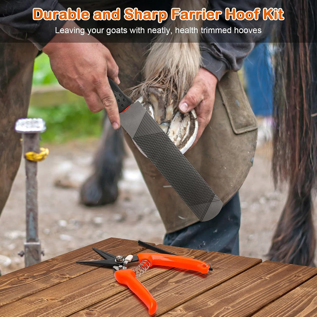 8 inch Farrier Tool Kit, 3PCS Goat Hoof Trimmers