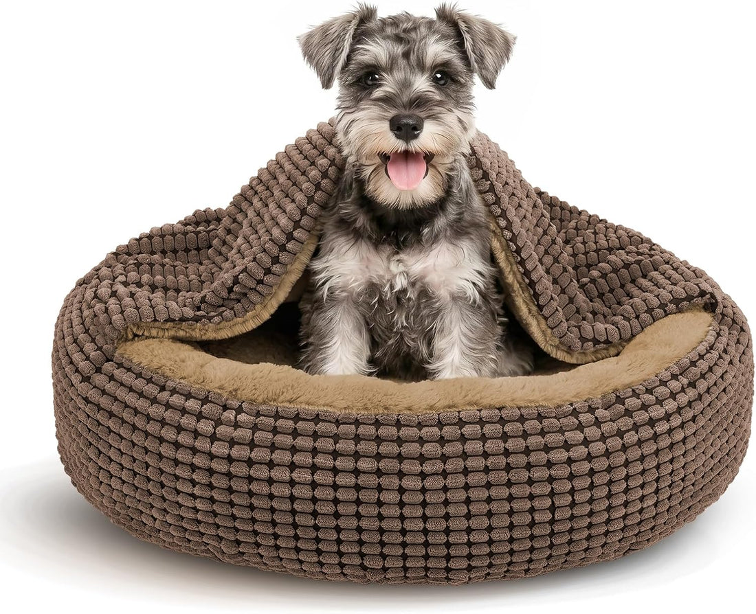 Small Dog Bed with Attached Blanket