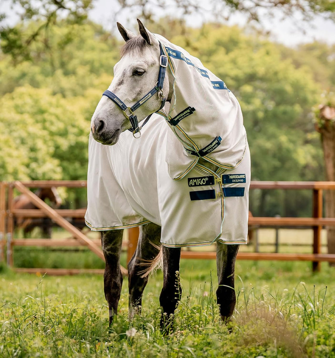 Horseware® Amigo® Bug Rug Fly Sheet 0g