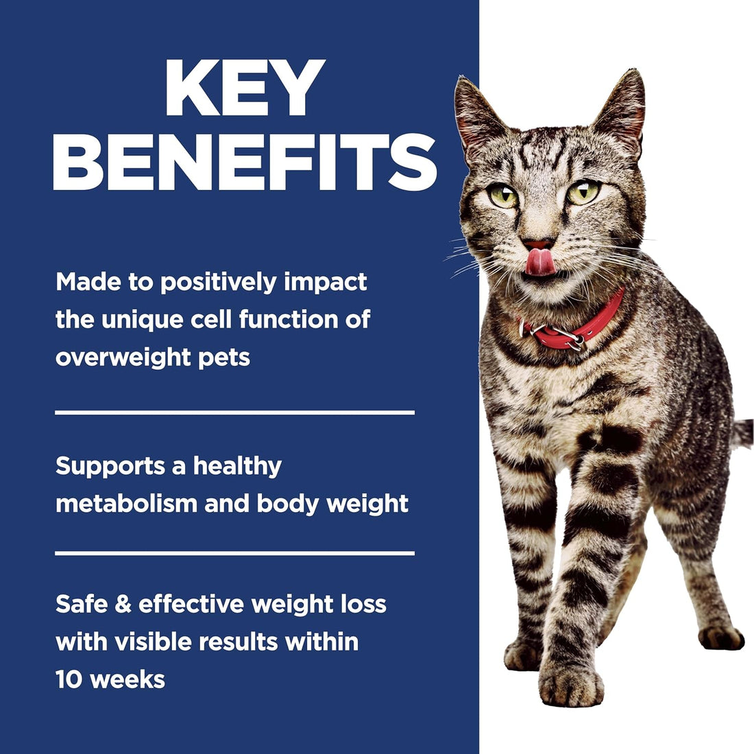 Hill's Science Diet Adult Perfect Weight Dry Cat Food, Chicken