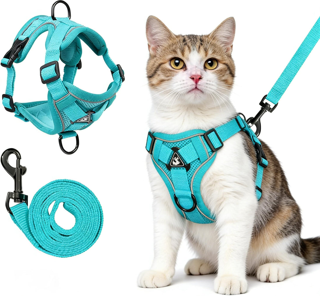Cat Harness and Leash for Walking