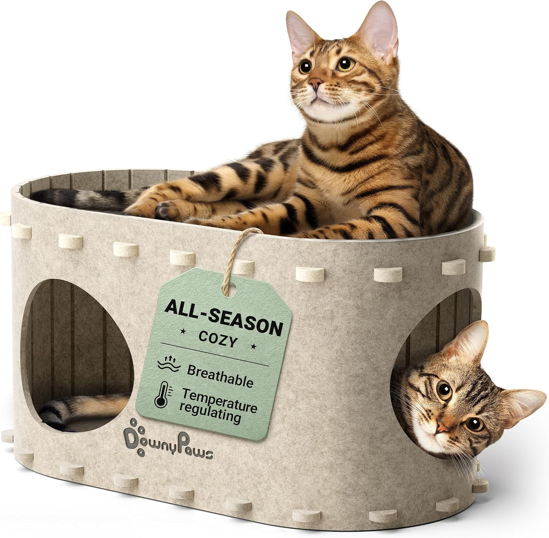 DownyPaws Cat House for Indoor Cats