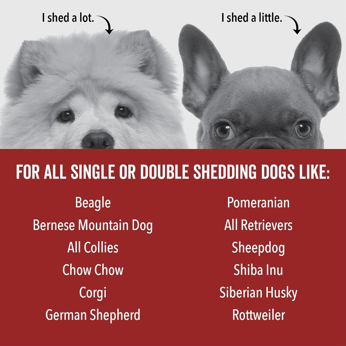 Pride and Groom DogDays Deshedding Dog Shampoo