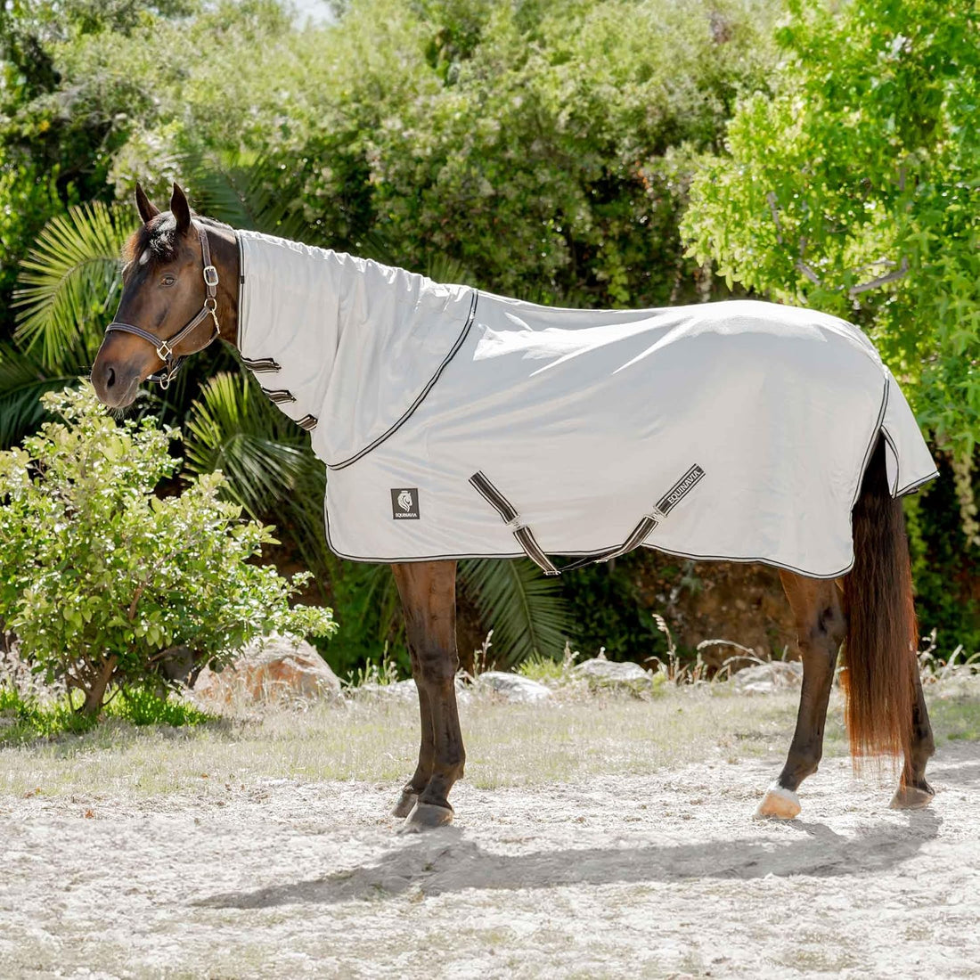 Equinavia Brisk Mesh Horse Fly Sheet with Neck Coverage, UV Protection