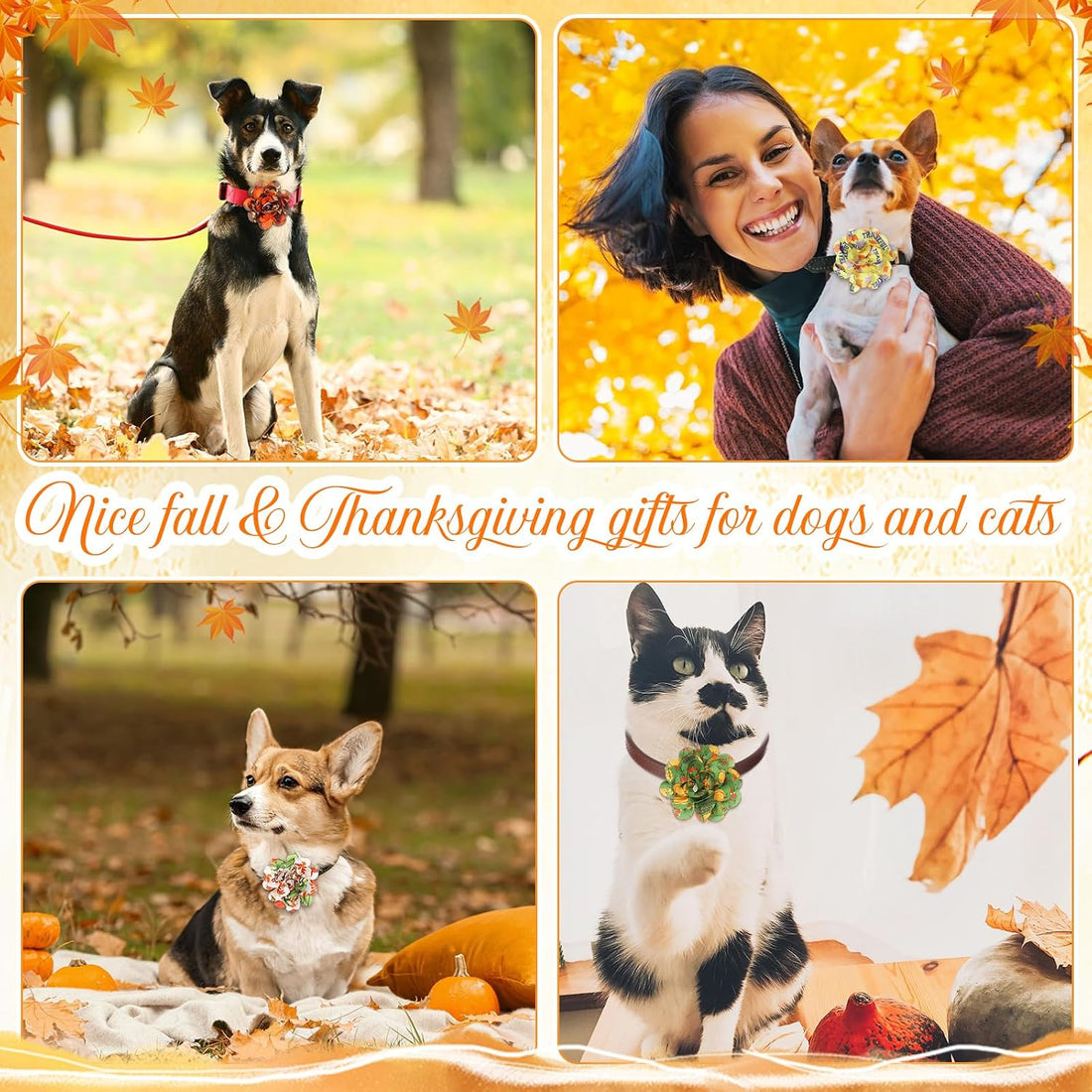 Sanwuta 30 Pcs Fall Pet Collar Flowers Bow Slide Attachments, Pumpkin