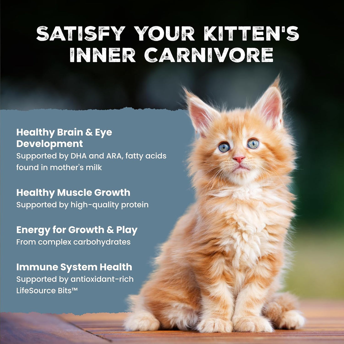 Blue Buffalo Wilderness Natural Kitten Dry Cat Food