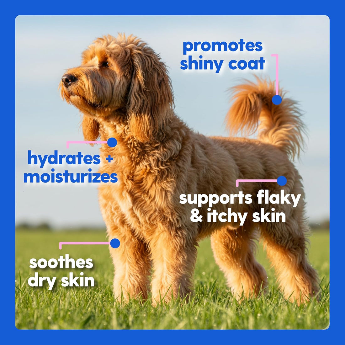 Taily Liquid Collagen for Dogs Skin and Coat Supplement, Cats