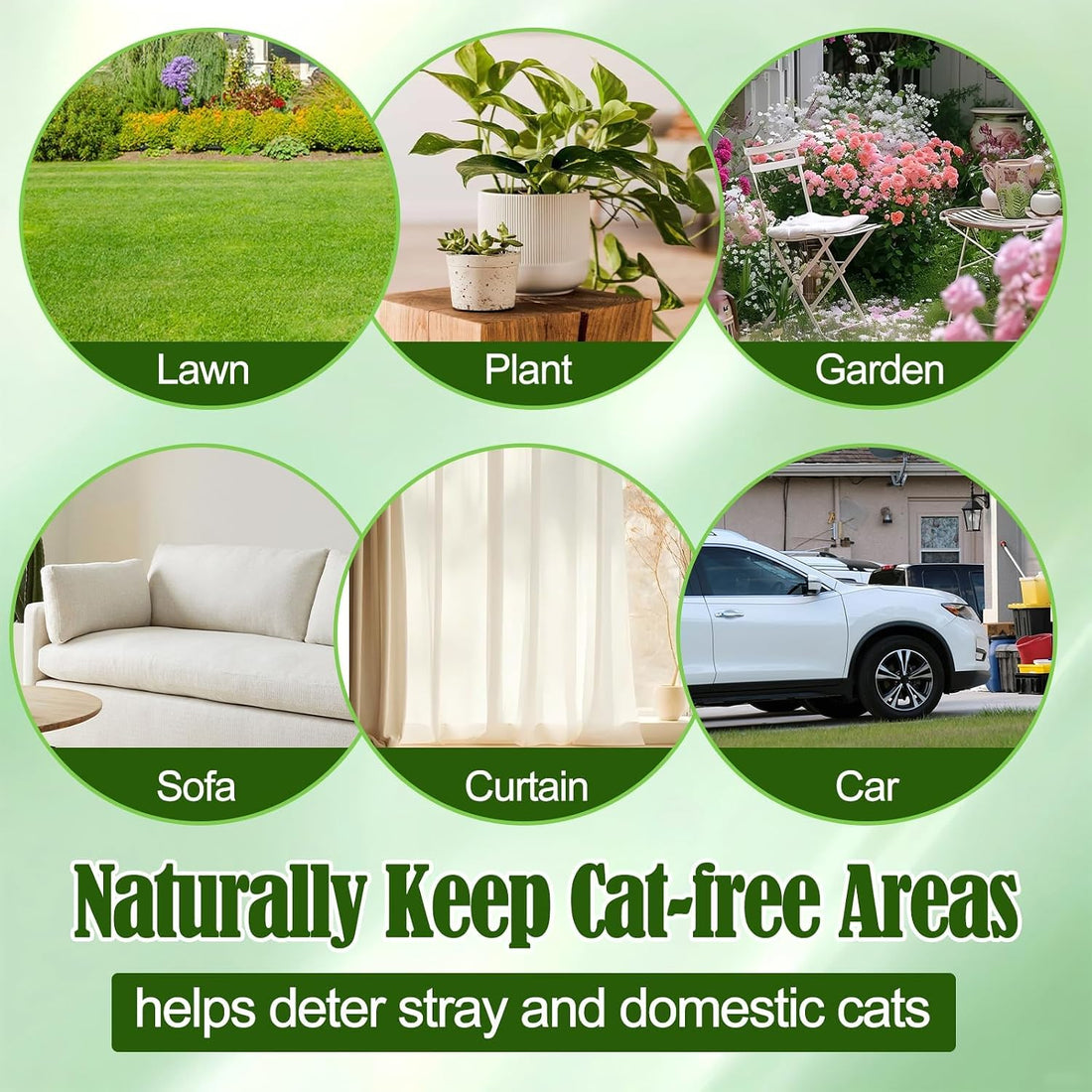 Cat Deterrent Outdoor & Indoor