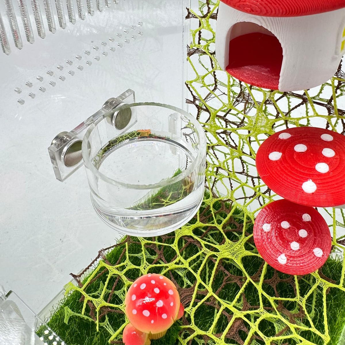 2 Pcs Jumping Spider Feeding Dish, Magnetic Water Bowl