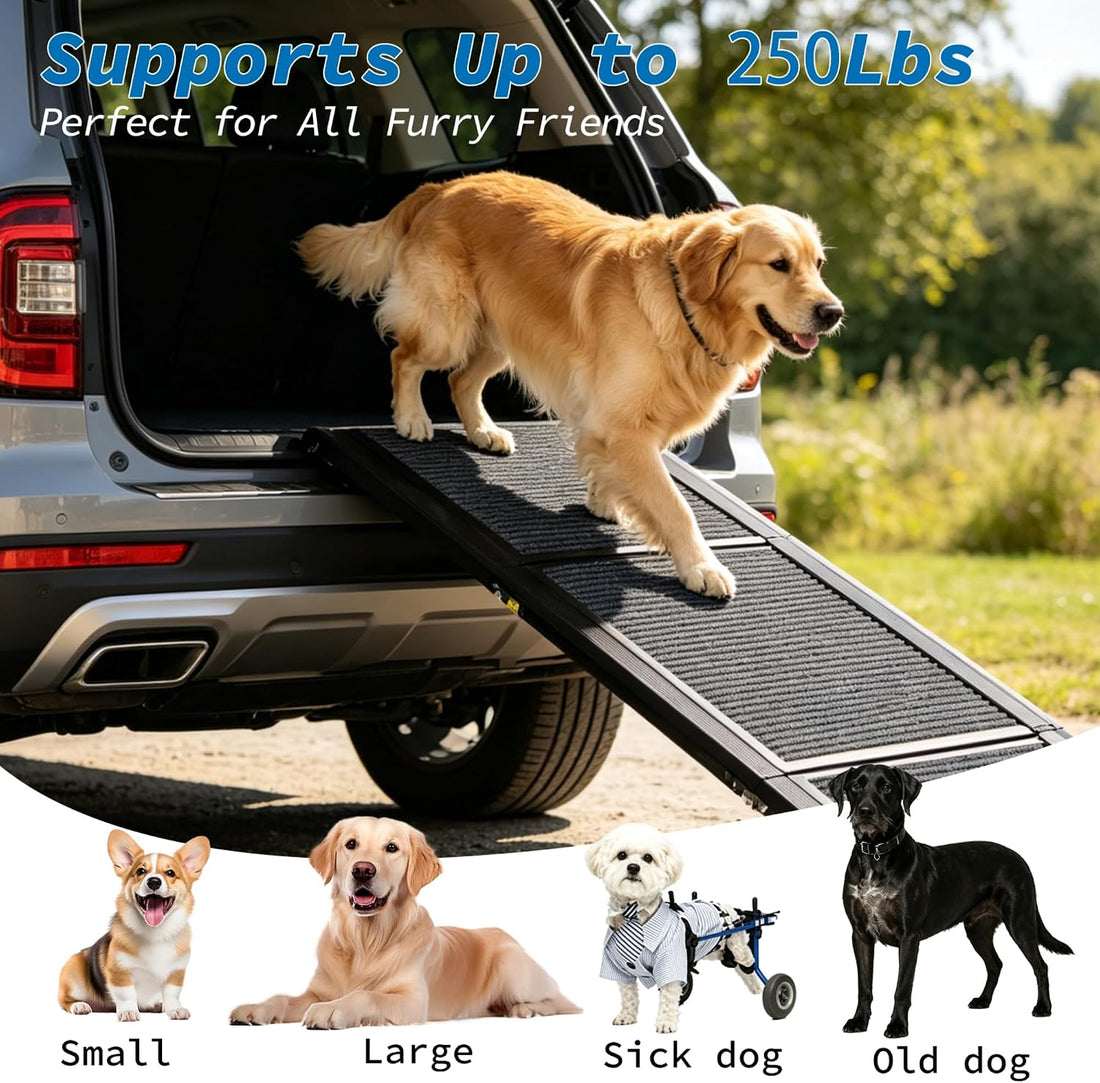 Ashfield & Harkness: Felt Dog Ramp - 63 x17, Black