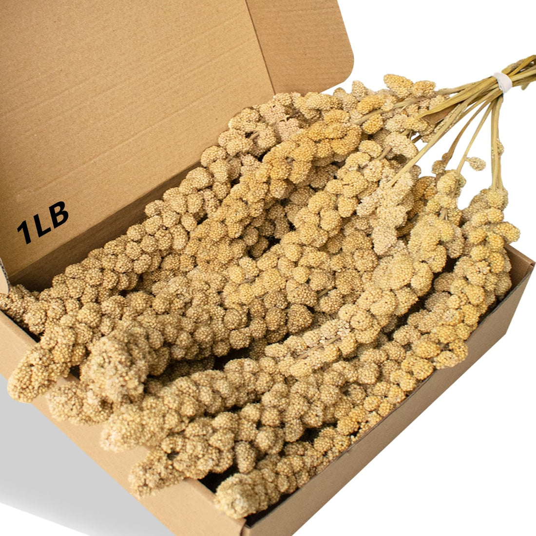 Jmxu's Spray Millet Treat for Birds Parakeets