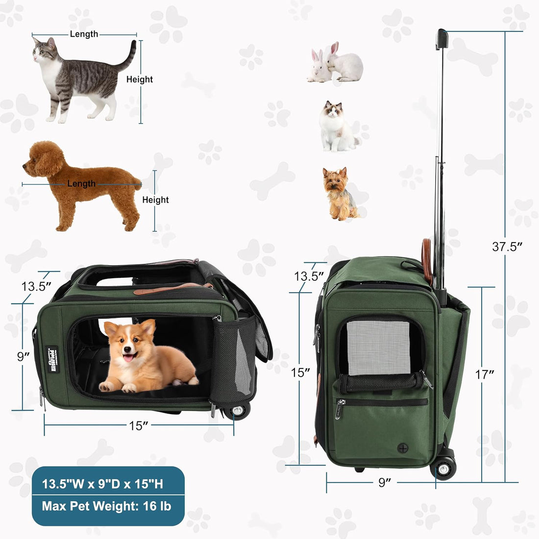 EliteField Deluxe Rolling Backpack Dog & Cat Carrier (2-Year Warranty)
