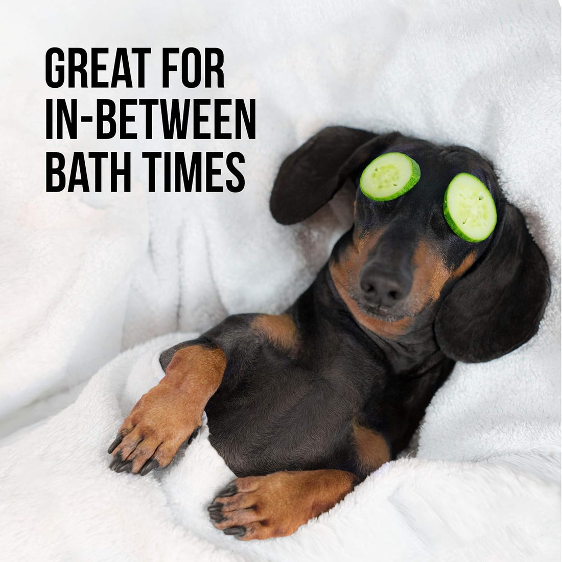 Natural Rapport Dog Deodorant Spray, Between-Bath Cologne
