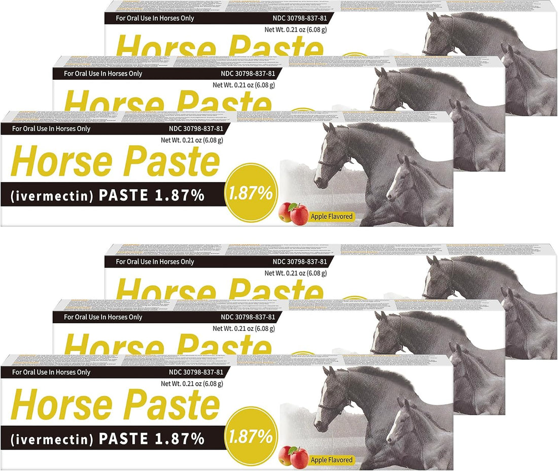 6 Pack Equine Paste 1.87% – 6.08g Each Apple Flavored Oral for Horse