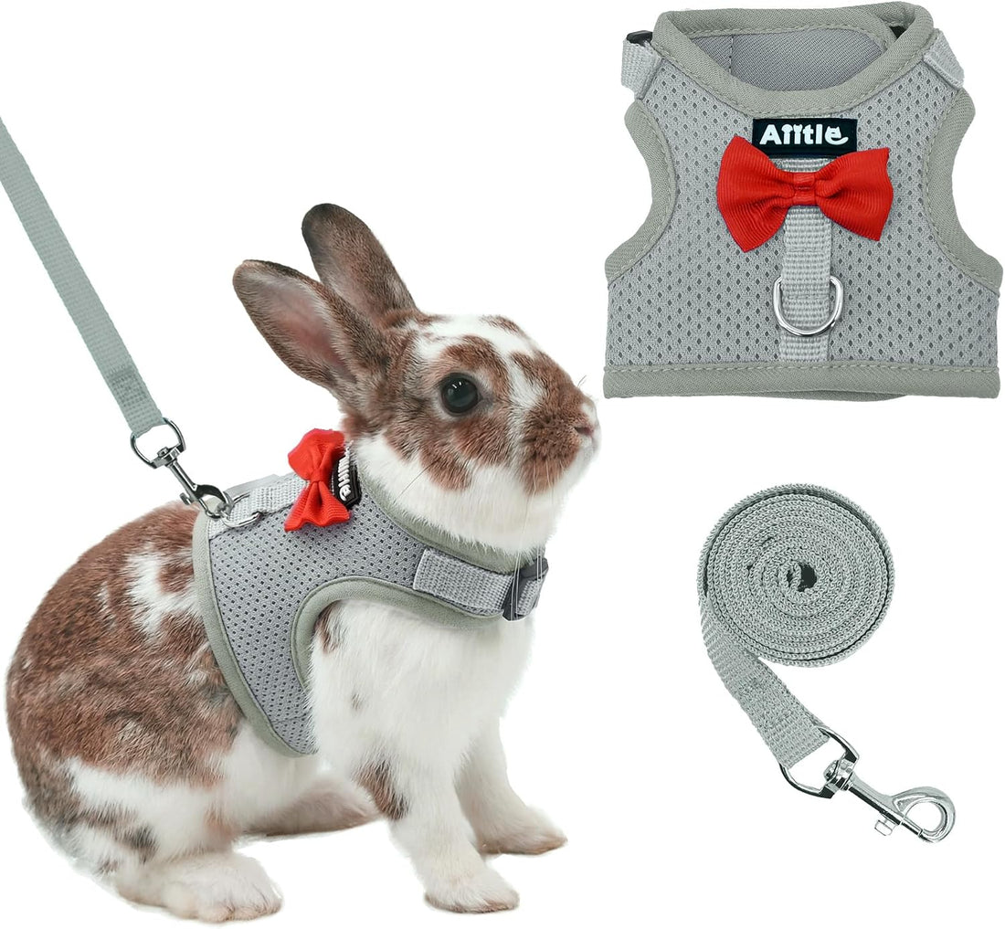 AIITLE Breathable Bunny Harness and Leash Set with Cute Bow, Black S