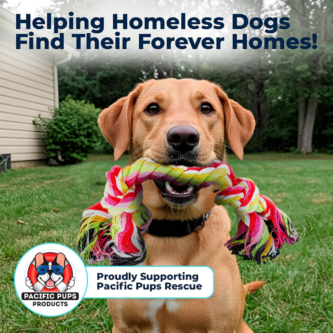 Pacific Pups Products Dog Rope Toys for Medium Dogs 11 Pack