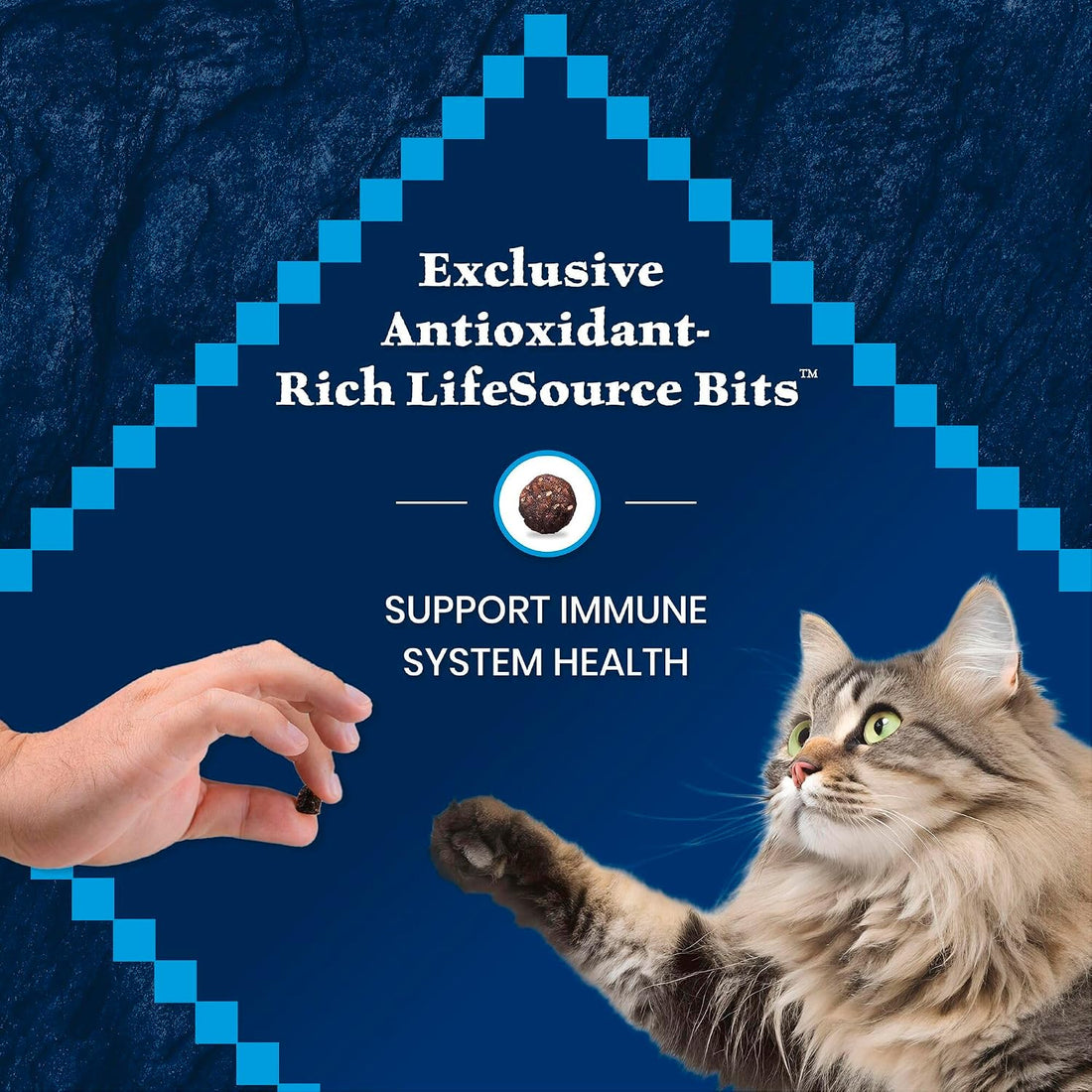 Blue Buffalo Wilderness Salmon Adult 7+ Dry Cat Food, Grain-Free, 5 lb