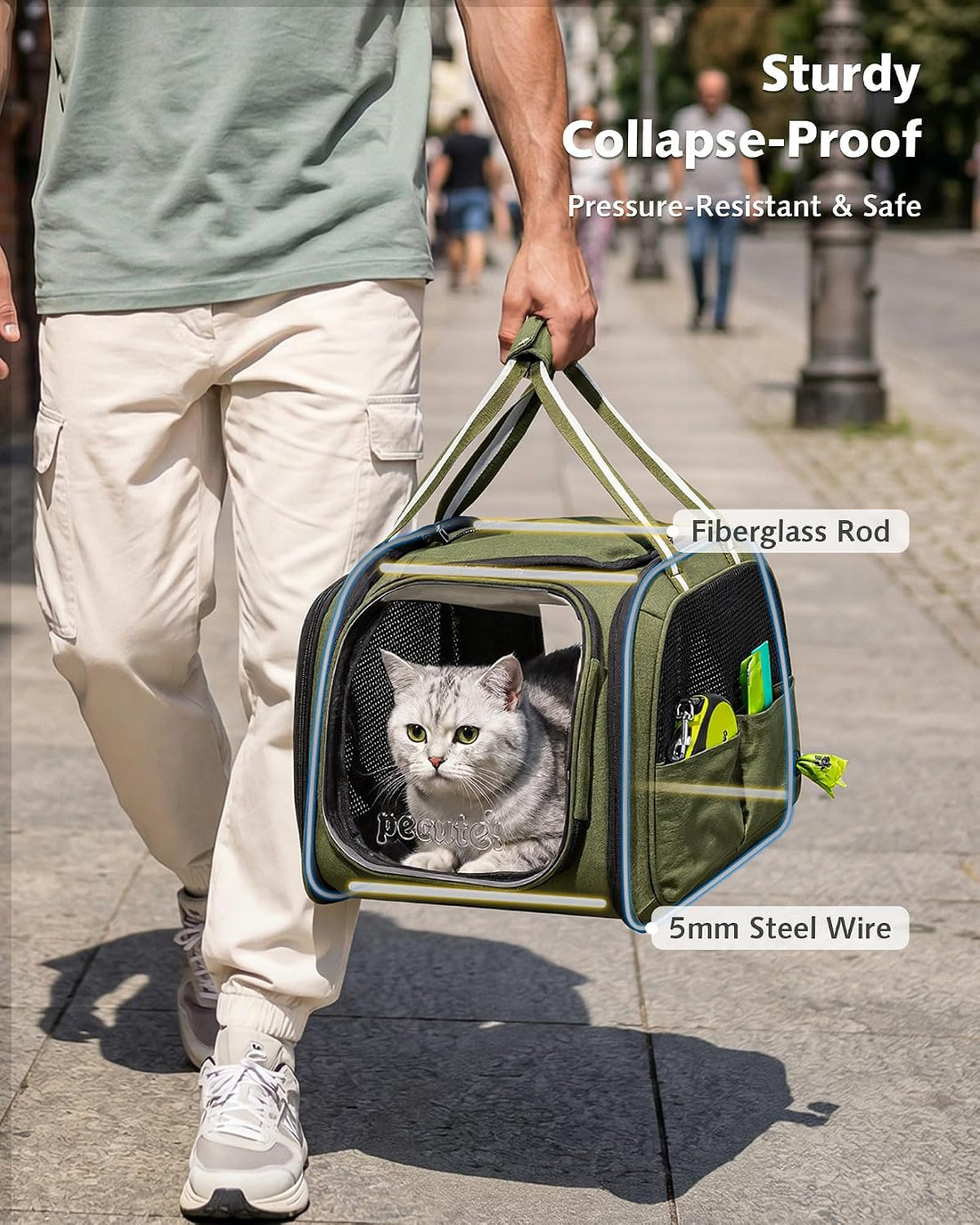 Pecute Cat Carrier,Double Bubble Pet Carrier for Cat Small