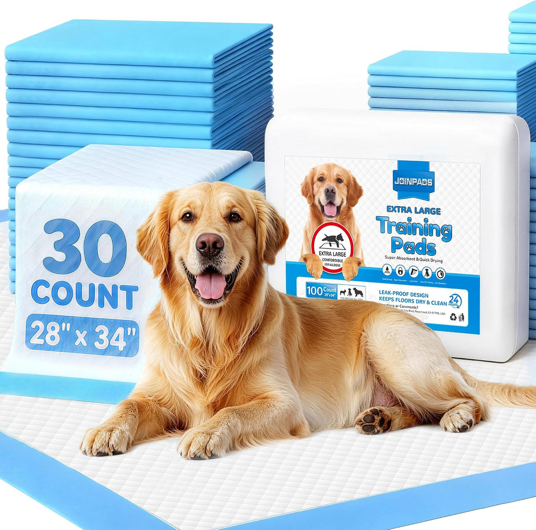 100 Count Puppy Pads 28"x34", Extra Large, Super Absorbent