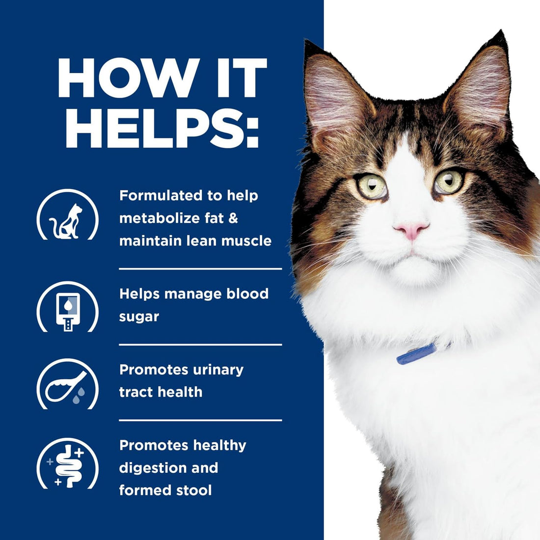 Hill's Prescription Diet w/d Multi-Benefit Wet Cat Food