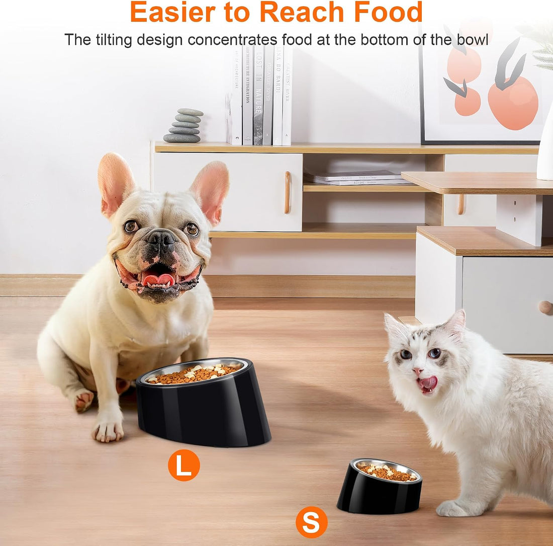 Tilted Dog Bowl Non-Slip & Non-Spill Pet Feeder with Elevated