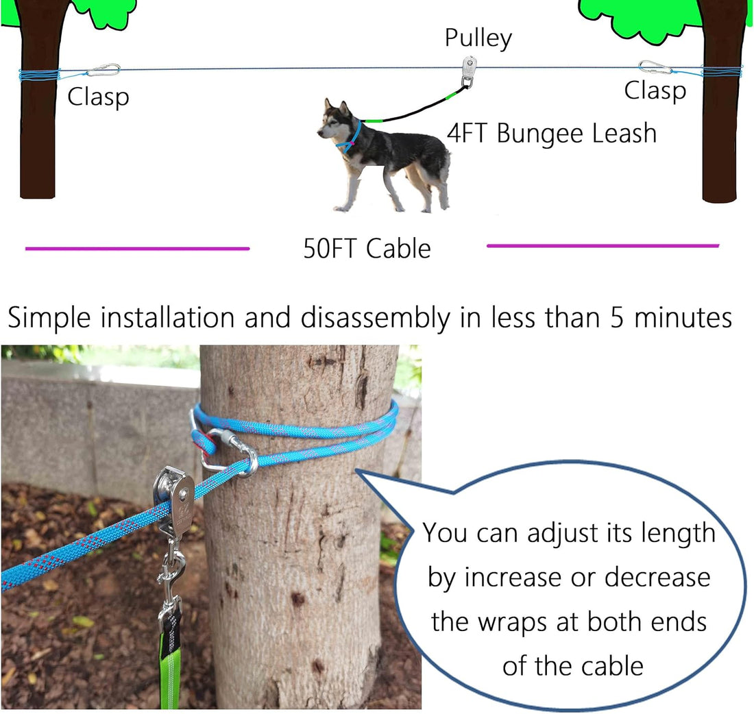 Dog Tie Out Cable for Camping